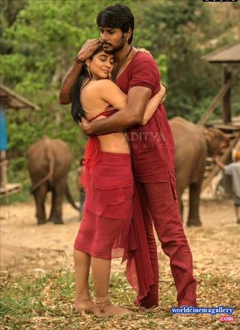 Regina Cassandra Nakshatram Movie Hot Stills