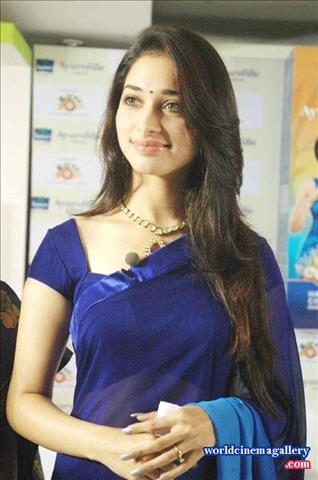 Tamanna in Blue Saree