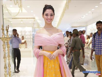 Tamanna Stills in Speedunnodu 
