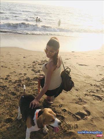 Rachel white Sexy Stills