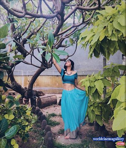 Yashika Aannand Saree Stills