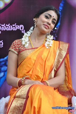 Actress Homely Look in Saree