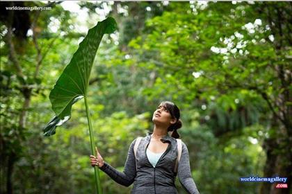 Ileana Latest Hot Stills