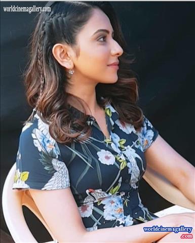 Rakul Preet Hot Stills - World Cinema Gallery