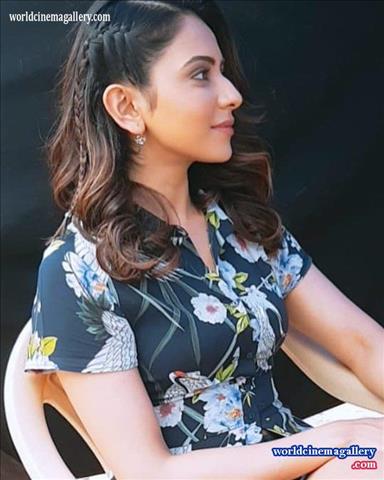 Rakul Preet Hot Stills - World Cinema Gallery