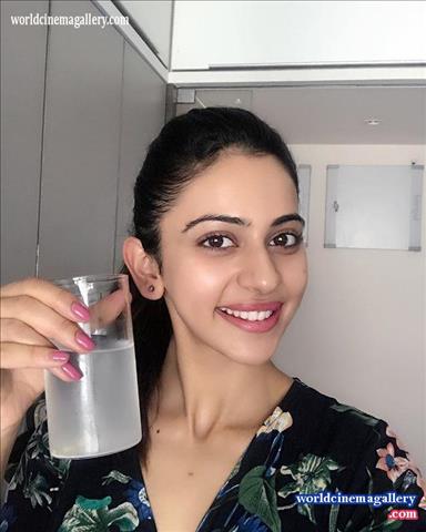 Rakul Preet Hot Stills - World Cinema Gallery