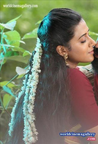 Shilpa Manjunath Stills At Kaali Movie