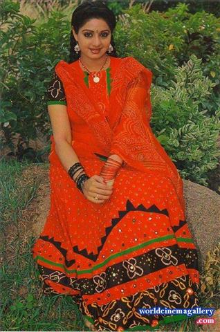 Sri Devi Rare Photos - World Cinema Gallery