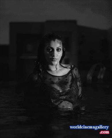 Yashika Anand Latest Photoshoot Stills - World Cinema Gallery