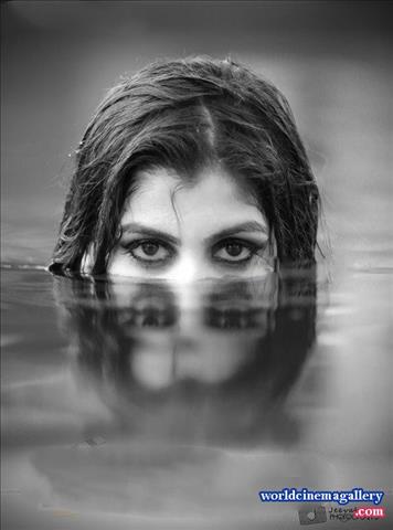 Yashika Anand Latest Photoshoot Stills - World Cinema Gallery