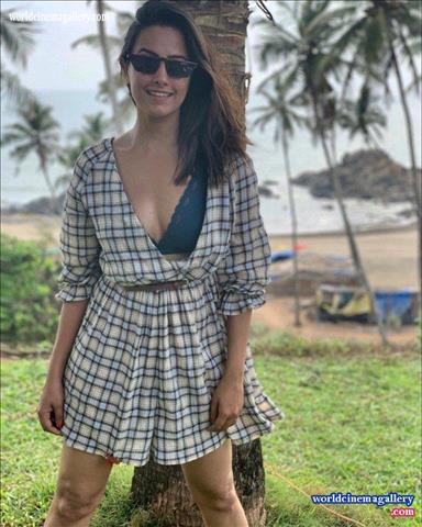 Anitha Hassanandani - World Cinema Gallery