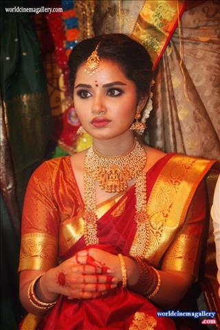 Anupama Parameshwaran Saree Stills