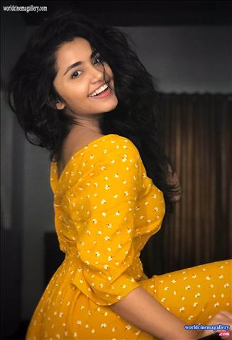 Anupama Parameshwaran Saree Stills