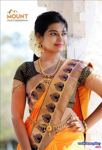 Actress in Saree 