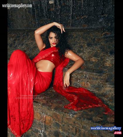 Apsara Rani Hot Red Saree Stills