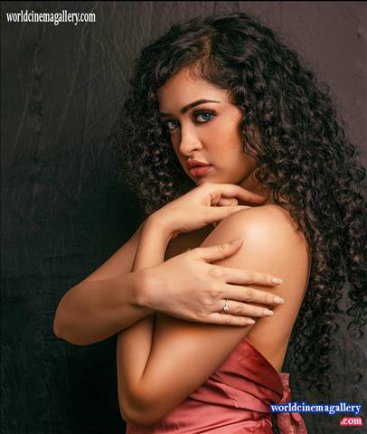 Apsara Rani Hot Red Saree Stills - World Cinema Gallery