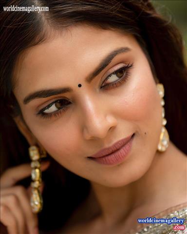 Malavika Mohanan Master Actress stills 