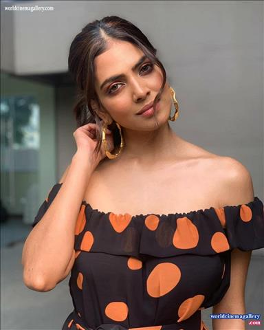Malavika Mohanan Master Actress stills 