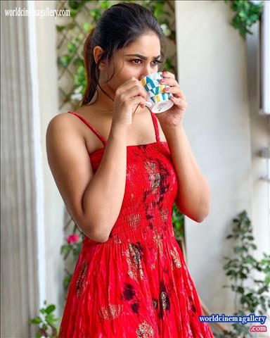 Shivani Narayanan Big Boss fame Actress stills