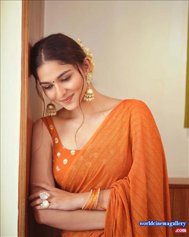 Kayadu Lohar Saree stills