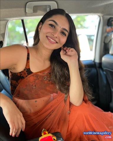 Kayadu Lohar Saree stills